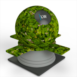 Ground_Cover_5