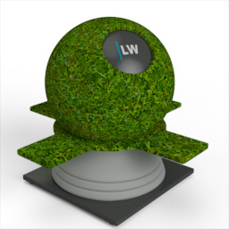 Grass_2