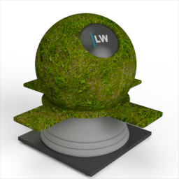 Grass_3