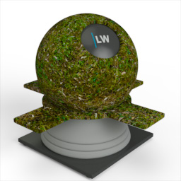 Grass_4