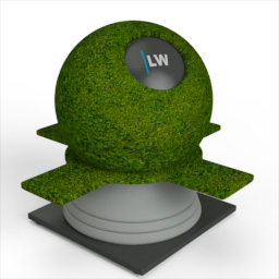 Grass_5