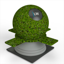 Grass_6