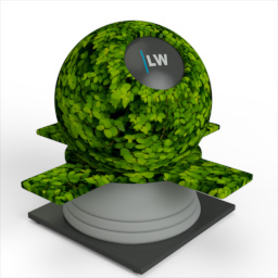 Hedge_2