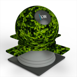 Hedge_3