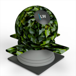 Leaf_2