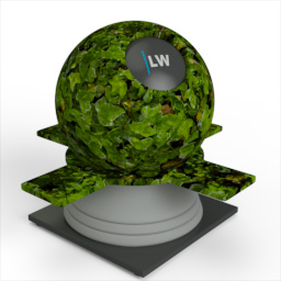 Leaf_3