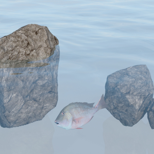 ThinWalled: On
