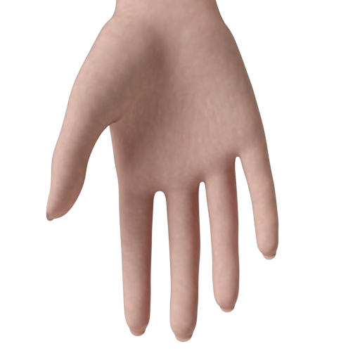 MultiLayeredSSS: Skin