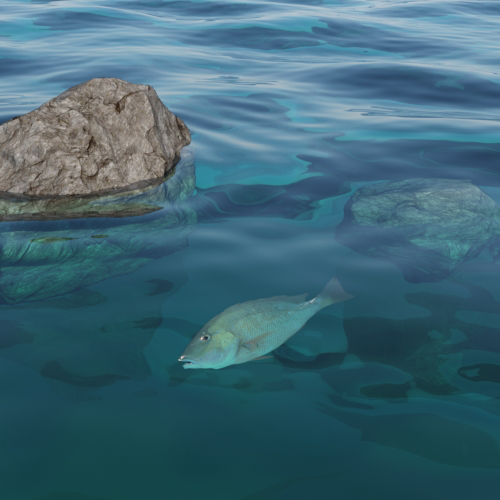 ParticleDensity: 0.0