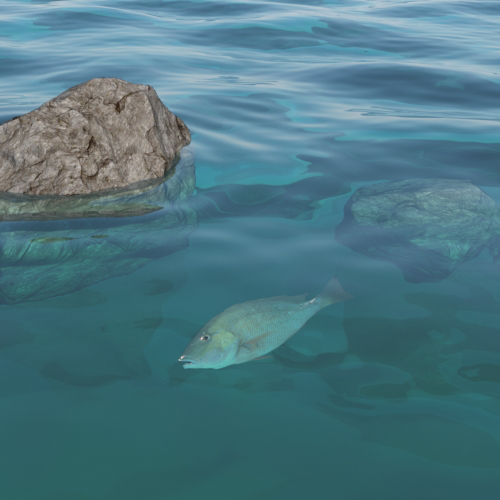 ParticleDensity: 0.02